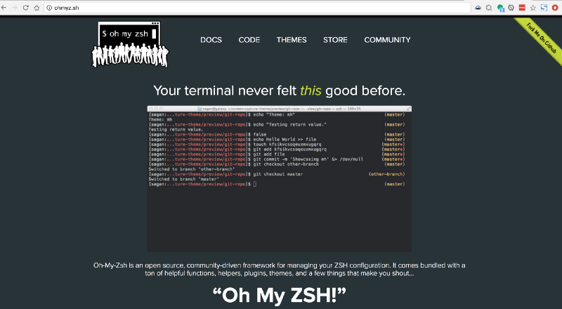 The perks of using Oh-My-ZSH